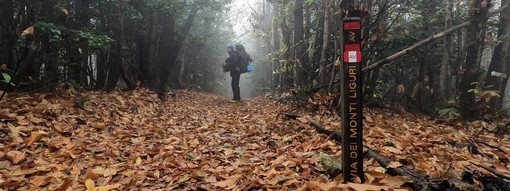 Da Celle in viaggio nell'Alta Via senza soldi: la storia del fotografo Marco Ferrando diventa un libro