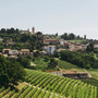 Una veduta di Monforte d'Alba (Foto di Barbara Guazzone)