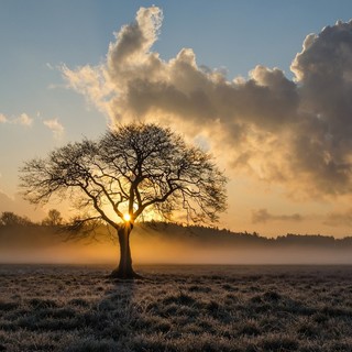 Antivigilia di Natale con il Foehn, poi sole (fino alla fine dell'anno?)