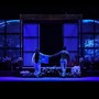 Alba, al Teatro Sociale va in scena Madama Butterfly