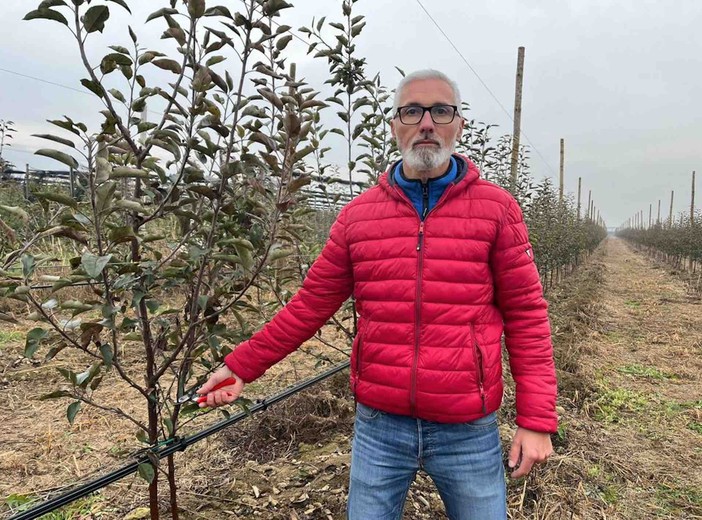 Maurizio Ribotta (Cia Cuneo): &quot;Frutticoltura cuneese la prima in Piemonte, a Berlino per il giusto reddito&quot;