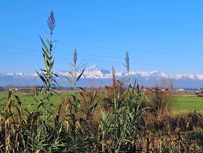 Foto: Piergiorgio Dellagiulia