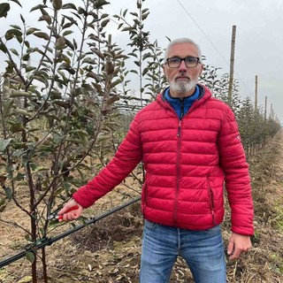 Maurizio Ribotta (Cia Cuneo): &quot;Frutticoltura cuneese la prima in Piemonte, a Berlino per il giusto reddito&quot;