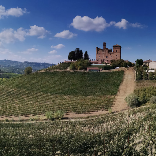 I cambiamenti climatici sui vigneti: si attendono risposte dall'esperimento dell'associazione Paesaggi vitivinicoli Unesco