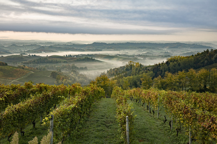 Turismo in Langhe Monferrato Roero: 85 mila visitatori nei punti di accoglienza e una strategia per il futuro