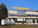 L'Australia è senza nocciole, Ferrero rinuncia ad un investimento improduttivo per 70 milioni di dollari