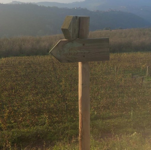 Nasce il Sentiero del Dolcetto: natura, storia e viticoltura tra Diano d'Alba, Montelupo Albese e Rodello