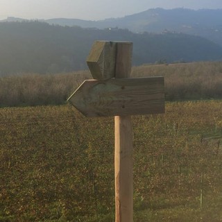 Tre comuni e 17 km tra vigne e centri abitati: domenica a Diano d'Alba si inaugura il &quot;Sentiero del Dolcetto&quot;