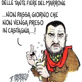 A Cuneo la Fiera del Marrone, mentre qualcuno è colto in &quot;castagna&quot;: la vignetta di Danilo Paparelli