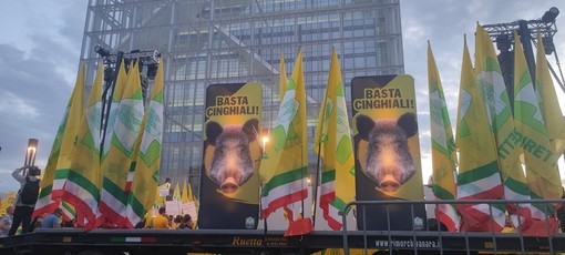 Gli agricoltori sotto la Regione  per chiedere l'abbattimento dei cinghiali: &quot;È un'emergenza&quot;