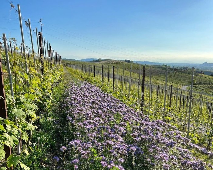 Coldiretti alla partenza di Bra del Giro d'Italia coi vini &quot;The Green Experience&quot;