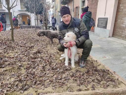 Farinél/ I trifolao hanno vinto: posticipate la stagione della cerca del bianco d’Alba e la Fiera del tartufo