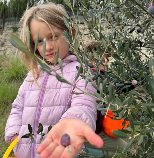 I figli di Valerio Berruti intenti nella raccolta