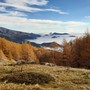 Lotti boschivi in valle Pesio e recuperi ambientali nelle Navette in Val Tanaro