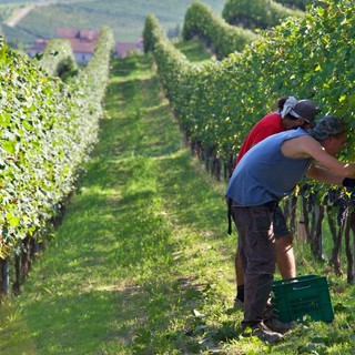 Attiva da oggi l’ordinanza “anti caldo” della Regione: stop al lavoro pomeridiano se il caldo è troppo forte