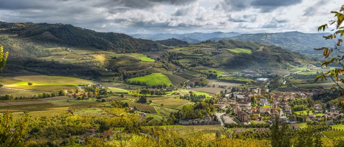 I vigneti dell'Alta Langa