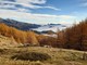 Lotti boschivi in valle Pesio e recuperi ambientali nelle Navette in Val Tanaro