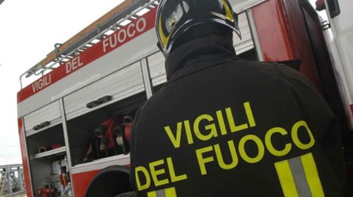 Neive, gattino cade in un pozzo: messo in salvo dai vigili del fuoco