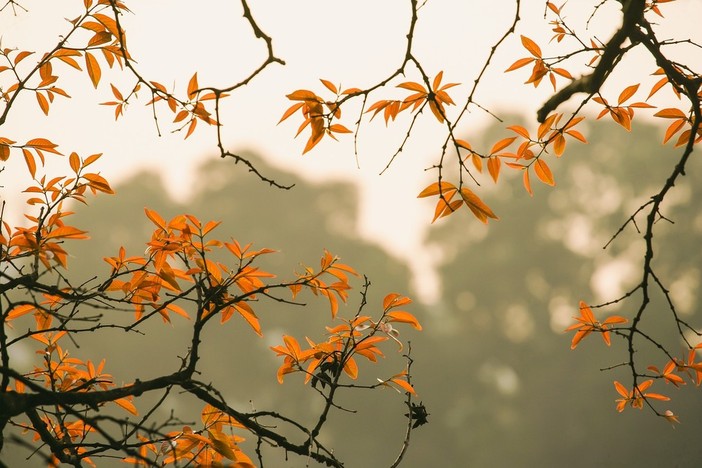 Settimana autunnale: fase di instabilità, con cielo grigio e temperature sotto la media