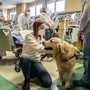 Compie dieci anni ASLAN, associazione che porta la pet therapy negli ospedali