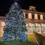 La magia del Natale: a Bra si accende la magnolia di piazza Roma