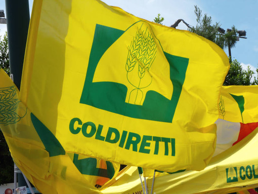 Successione ereditaria, Coldiretti Cuneo: incontri a Bra e Alba per imprenditori agricoli e pensionati