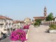 A Bra la “Pedalando tra le Vigne in Rosa di Langhe, Roero e Monferrato”