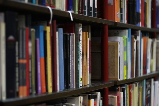 Anche quest'anno Castagnole delle Lanze aderisce a &quot;Biblioteche in festa&quot;