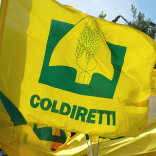 Da Cuneo a Parma per la manifestazione di Coldiretti in difesa della salute degli italiani