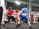 Boxe: domenica a Marene appuntamento con il triangolare Piemonte-Emilia Romagna-Toscana