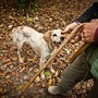 A Terra Madre il fascino del tartufo protagonista con il documentario di Remo Schellino