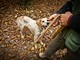 A Terra Madre il fascino del tartufo protagonista con il documentario di Remo Schellino