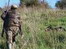 Scontro a Novello tra veterinario e cacciatori. Fissolo (Atc Roero): &quot;Tutti cambino atteggiamento&quot;