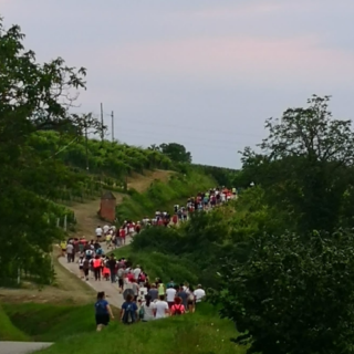 La festa ‘Midsommar’ a Roddi, prima edizione da record