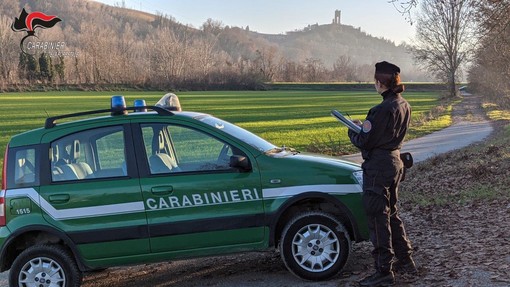 Carabinieri forestali: nel 2023 centinaia di illeciti amministrativi e sanzioni per 870 mila euro