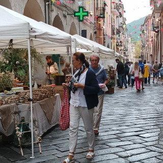 L'expo a Pieve di Teco