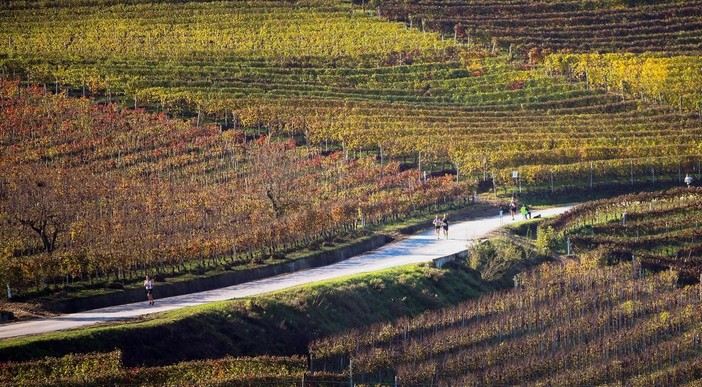 Alba: un mese al via della Grande Maratona delle Langhe