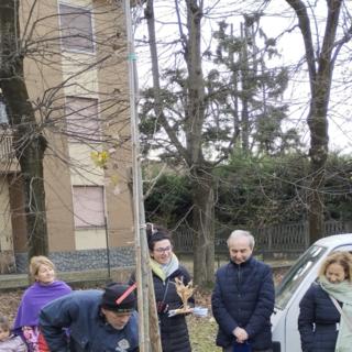 Bra ha celebrato la Festa dell’Albero