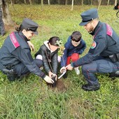 Giornata nazionale dell'albero, celebrata la festa coi Carabinieri Forestali