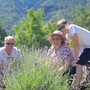 STORIE DI MONTAGNA 131/ Una famiglia, un borgo alpino, un campo di lavanda