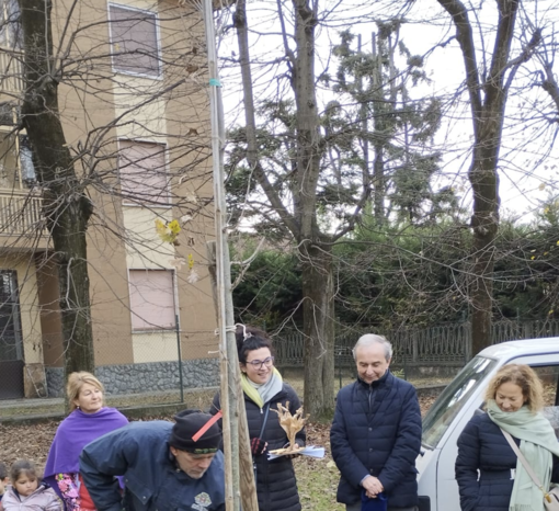 Bra ha celebrato la Festa dell’Albero