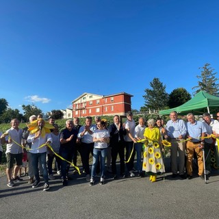 Farigliano: aperto il labirinto con dieci mila metri quadrati di girasoli [VIDEO]