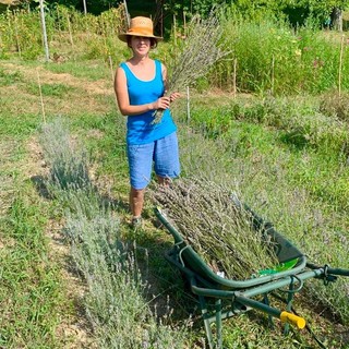 Alba, ogni sabato di febbraio il laboratorio &quot;La strega verde&quot;