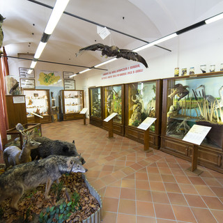 Museo Naturalistico del Roero di Vezza d’Alba (foto Stefano Cantù)