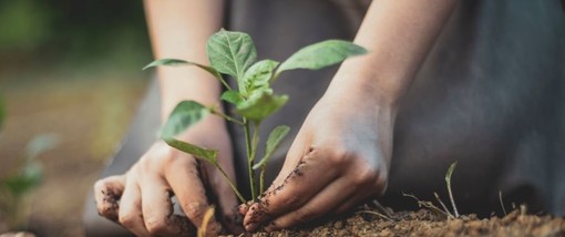 8 marzo, Coldiretti Cuneo: &quot;Nella Granda tre imprenditrici su dieci in agricoltura&quot;