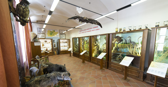 Museo Naturalistico del Roero di Vezza d’Alba (foto Stefano Cantù)