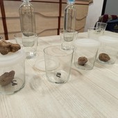 Dronero: all' Istituto Alberghiero Donadio una Masterclass sul Tartufo Bianco d’Alba (FOTO e VIDEO)