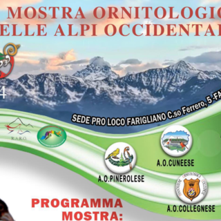 A Farigliano la 10ª Mostra Ornitologica delle Alpi Occidentali