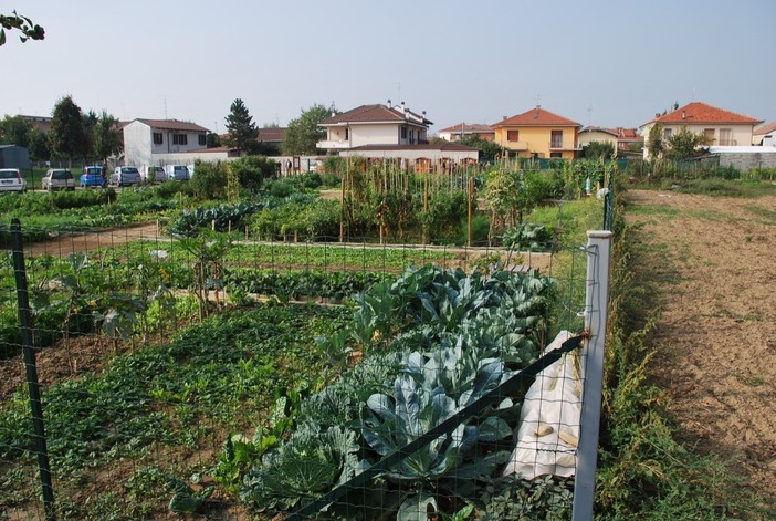 Bra: al via un nuovo bando per ottenere gli orti urbani