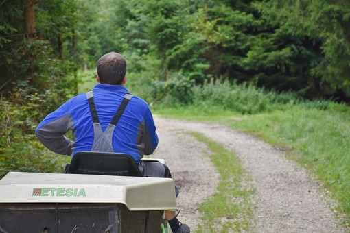 Nuovo contratto regionale per gli operai forestali: stanziamento straordinario di un milione e mezzo di euro